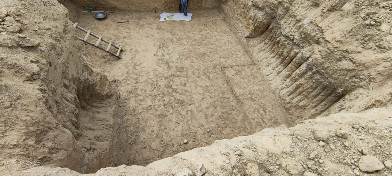 WhatsApp Image 2025-10-14 at 4.46.15 PM